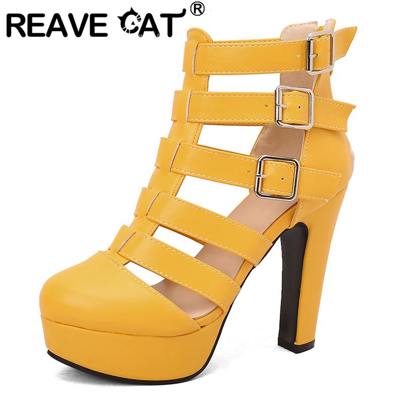 REAVE CAT sandali femminili di - Women'S Fashion Belts recensione e prezzo
